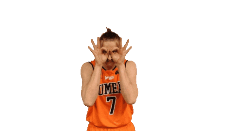 Basket Sweden Sticker by Umeå BSKT