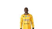 Football Goalkeeper Sticker by La Berrichonne de Châteauroux