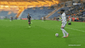 King Of The North GIF by YILPORT SAMSUNSPOR
