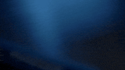 Fox Mulder GIF by The X-Files