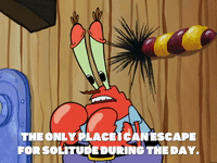season 5 new digs GIF by SpongeBob SquarePants