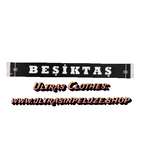 Besiktas Jk Allies Sticker by UltrasInPeluze