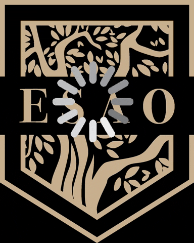 oaselleda giphygifmaker giphyattribution GIF