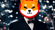 Shib Coin GIF by SHIB GIFS