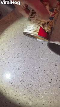 Opening A 10-Year-Old Can Of Spaghettios GIF by ViralHog