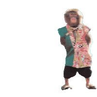 Fun Monkey Sticker