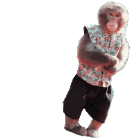 Fun Monkey Sticker