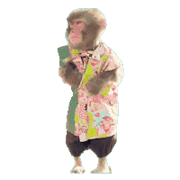 Fun Monkey Sticker