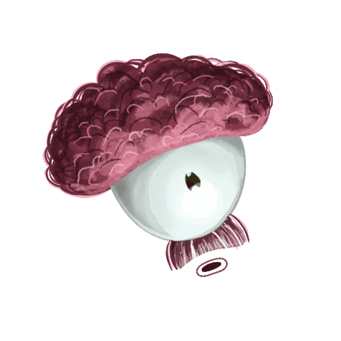 Zverskayaya reaction love smile wow Sticker