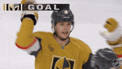 Happy Vegas Golden Knights GIF by NHL