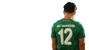 Football Sport Sticker by HSC Hannover