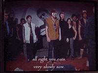 season 2 netflix GIF by Gilmore Girls 