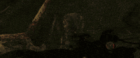 The Two Colonels Metro GIF by Deep Silver