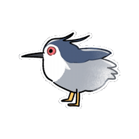 Night Heron Bird Sticker