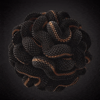 romanbratschi fun black gold abstract GIF