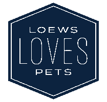 Cat Love Sticker by Loews Hotels