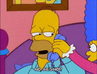 homer simpson episode 13 GIF