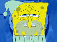 season 5 new digs GIF by SpongeBob SquarePants