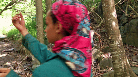Watch Idol GIF by Survivor CBS