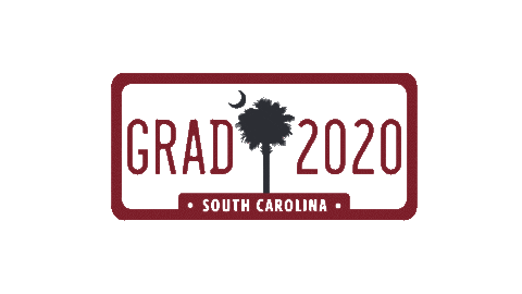 Grad Celebrate Sticker by University of South Carolina
