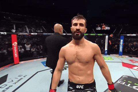 Ufc Mma GIF by Studo