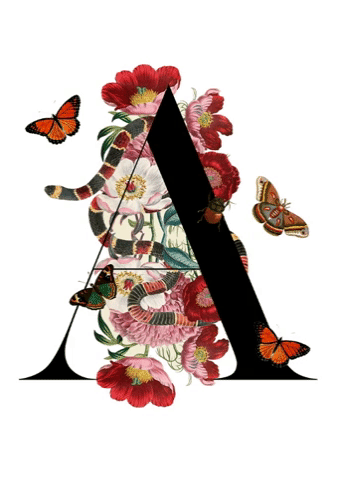 art fashion GIF