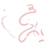 Stars Decorate Sticker