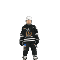 alfahockey хоккей хоккеист альфа хоккейспб Sticker