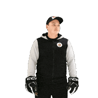 alfahockey хоккей хоккеист альфа хоккейспб Sticker