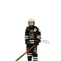 alfahockey хоккей хоккеист альфа хоккейспб Sticker