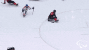 Paralympic Games GIF by International Paralympic Committee