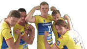 draismadynamo eredivisie volleybal draisma dynamo dynamo volleybal Sticker