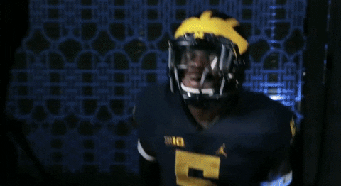 College Football GIF by Michigan Athletics