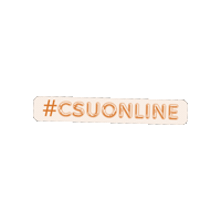 Summer School Sticker by Colorado State University Online