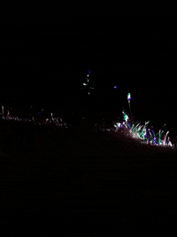 GIF by Joanie Lemercier