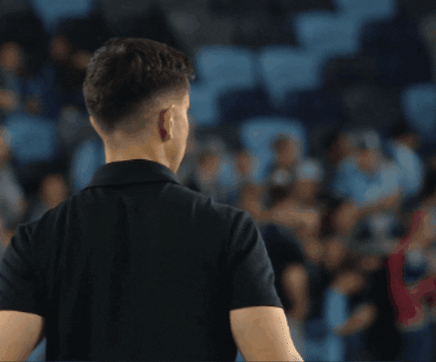 Minnesota United Applause GIF by Major League Soccer