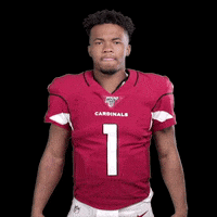 Arizona Cardinals Football GIF by NFL