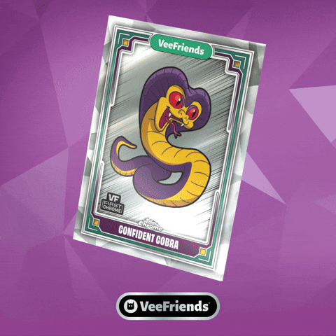 Box Collect GIF by VeeFriends