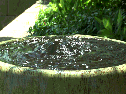 fountain GIF