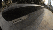 toreypudwill fun skateboarding grizzly torey pudwill GIF