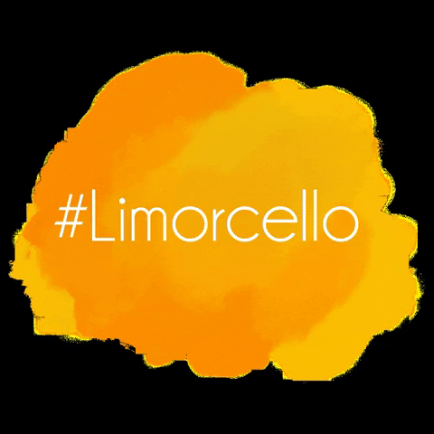 Limorcello giphygifmaker business orange italia GIF