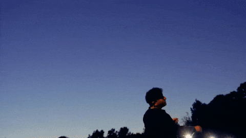 North Carolina Pop GIF by Sam Pomerantz