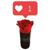 heart love Sticker by GRACE Flowerbox