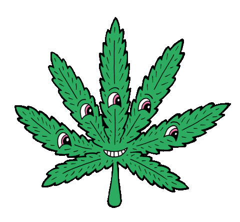 Mor Hqbarcelona Sticker by venyason