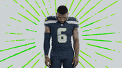 American Football GIF by Seattle Seahawks