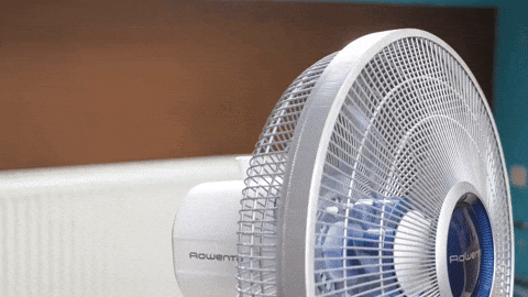 Prisma-Media giphyupload GIF