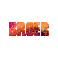 BroerDestilaria gin broer ginbroer broergin Sticker