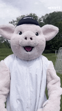 Germany Football GIF by SPORT1