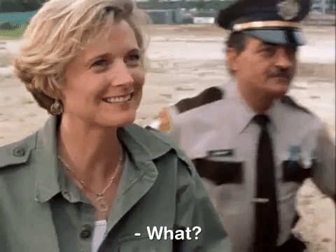 the mystery files of shelby woo nicksplat GIF