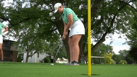 Tgoe Iwutitans GIF by iwusports